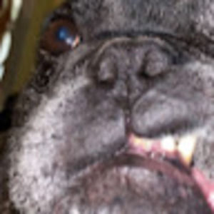 Meet your Posher, Addie